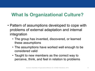 What Is Organizational Culture?
• Pattern of assumptions developed to cope with
problems of external adaptation and internal
integration
• The group has invented, discovered, or learned
these assumptions
• The assumptions have worked well enough to be
considered valid
• Taught to new members as the correct way to
perceive, think, and feel in relation to problems
Scandura, Essentials of Organizational Behavior 2e. © SAGE Publications, 2019. 2
 