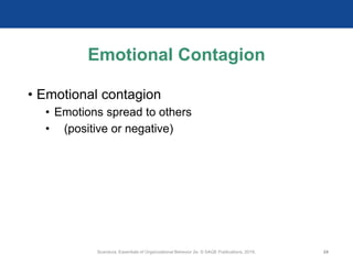 Emotional Contagion
• Emotional contagion
• Emotions spread to others
• (positive or negative)
Scandura, Essentials of Organizational Behavior 2e. © SAGE Publications, 2019. 24
 