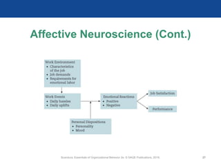 Affective Neuroscience (Cont.)
Scandura, Essentials of Organizational Behavior 2e. © SAGE Publications, 2019. 27
 