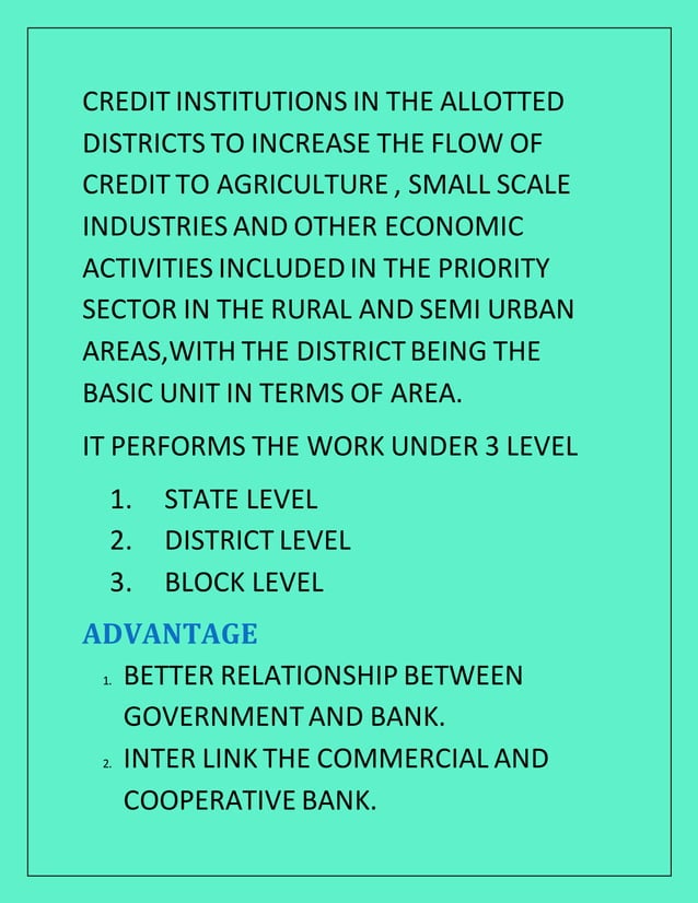 Lead bank scheme PDF
