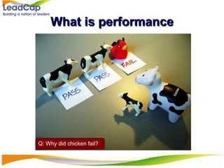 What is performance Q: Why did chicken fail? 
