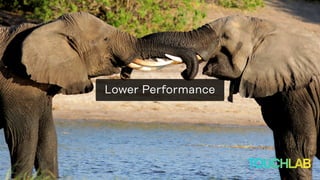 Lower Performance
 
