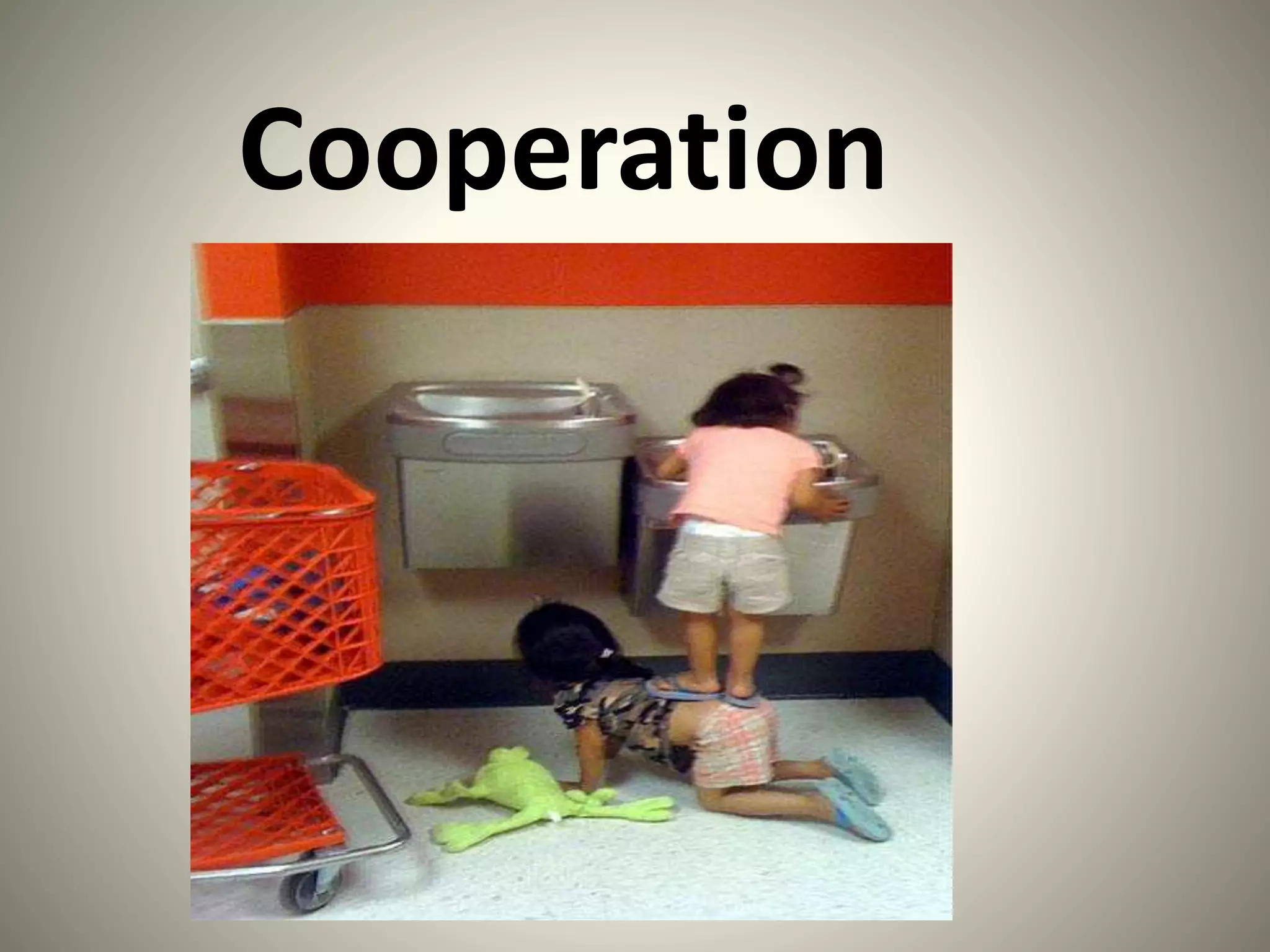 Cooperation