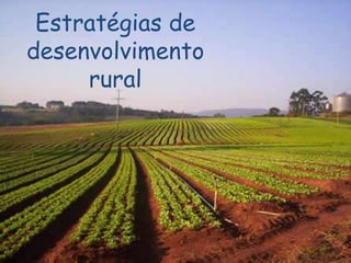 Estratégias de
desenvolvimento
     rural
 