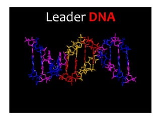 3 DNA del Leader | PPT
