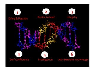 3 DNA del Leader | PPT