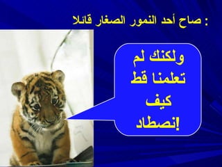 صاح أحد النمور الصغار قائلا :  ولكنك لم تعلمنا قط كيف نصطاد ! 