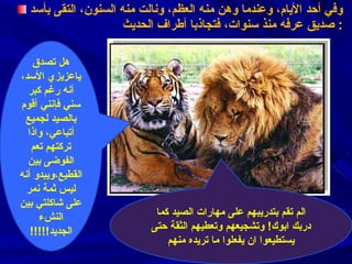 وفي أحد الأيام ،  وعندما وهن منه العظم ،  ونالت منه السنون ،  التقى بأسد صديق عرفه منذ سنوات ،  فتجاذبا أطراف الحديث :  هل تصدق ياعزيزي الأسد ،  أنه رغم كبر سني فإنني أقوم بالصيد لجميع أتباعي ،   واذا تركتهم تعم الفوضى بين القطيع، ويبدو أنه ليس ثمة نمر على شاكلتي بين النشء الجديد !!!!! الم تقم بتدريبهم على مهارات الصيد كما دربك ابوك !  وتشجيعهم وتعطيهم الثقة حتى يستطيعوا ان يفعلوا ما تريده منهم 