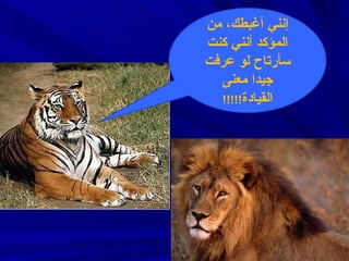 إنني أغبطك ،  من المؤكد أنني كنت سأرتاح لو عرفت جيدا معنى القيادة !!!!! 