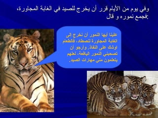 وفي يوم من الأيام قرر أن يخرج للصيد في الغابة المجاورة، فجمع نموره و قال : علينا أيها  النمور  أن نخرج إلى الغابة المجاورة لنصطاد ،   فالطعام اوشك على النفاذ .  وأرجو أن تصحبني النمور اليافعة ،  لعلهم يتعلمون مني  مهارات الصيد . 