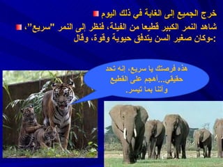 خرج الجميع إلى الغابة  في ذلك اليوم شاهد النمر الكبير قطيعا من الفيلة ،  فنظر إلى النمر  " سريع” ،  وكان صغير السن يتدفق حيوية وقوة ،  وقال :- هذه فرصتك يا سريع ،  إنه تحد حقيقي ... أهجم على القطيع وآتنا بما تيسر . 