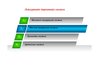 2 Ивээлт захирангуй систем
1
3
4
5
Мөлжигч-захирангуй систем
Зөвлөлдөх систем
Ардчилсан систем
Лейкертийн дөрөвтийн систем
 