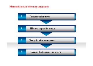 1
2
3
4
Шинж төрхийн онол
Генетикийн онол
Зан үйлийн хандлага
Нөхцөл байдлын хандлага
Манлайлалын онолын хандлага:
 