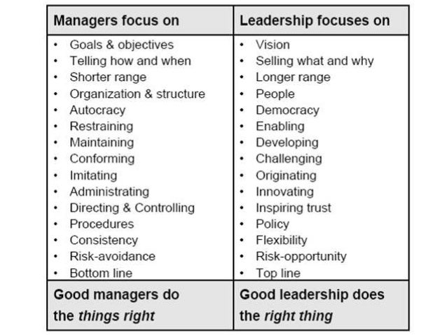 leadership type of skills