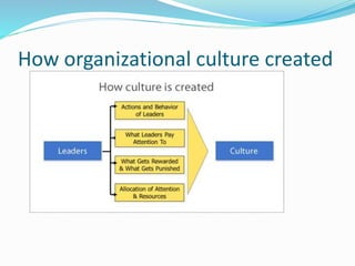 How organizational culture created
 