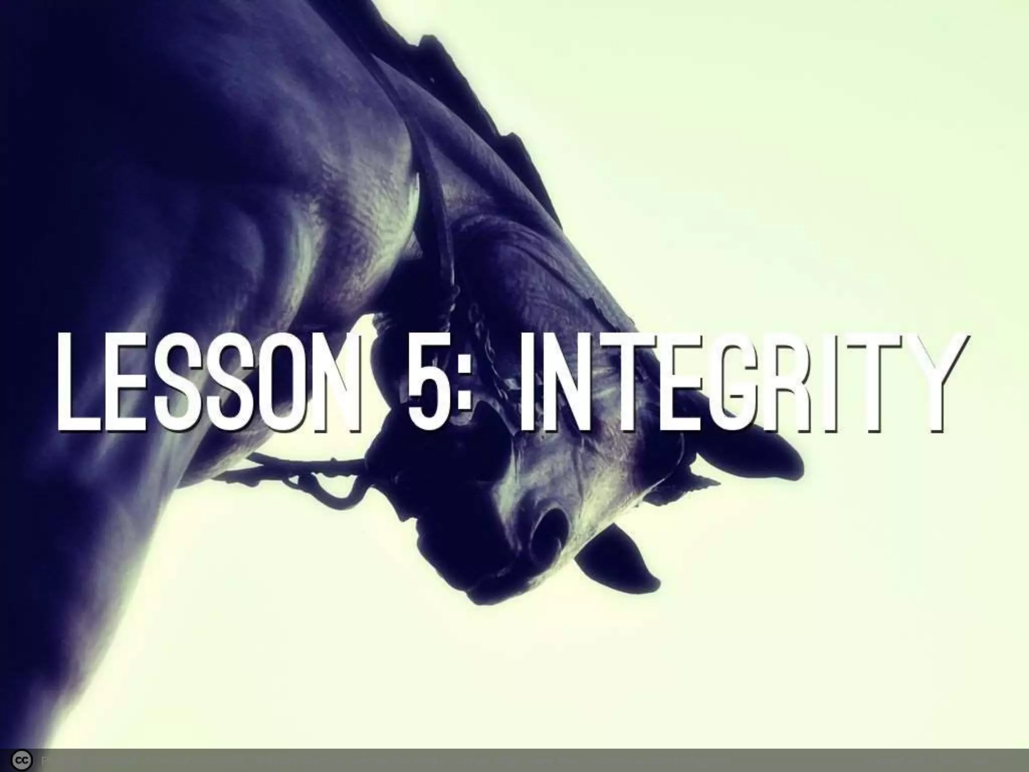 Photo by dtomaloff - Creative Commons Attribution-NonCommercial-ShareAlike License https://www.flickr.com/photos/28853195@N06 Created with Haiku Deck 
 