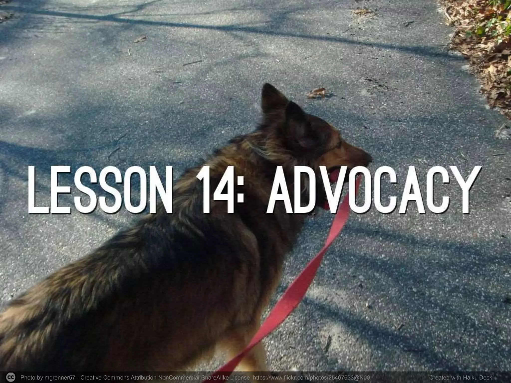 Photo by mgrenner57 - Creative Commons Attribution-NonCommercial-ShareAlike License https://www.flickr.com/photos/25467633@N00 Created with Haiku Deck 
 