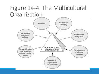 Figure 14-4 The Multicultural
Organization
 
