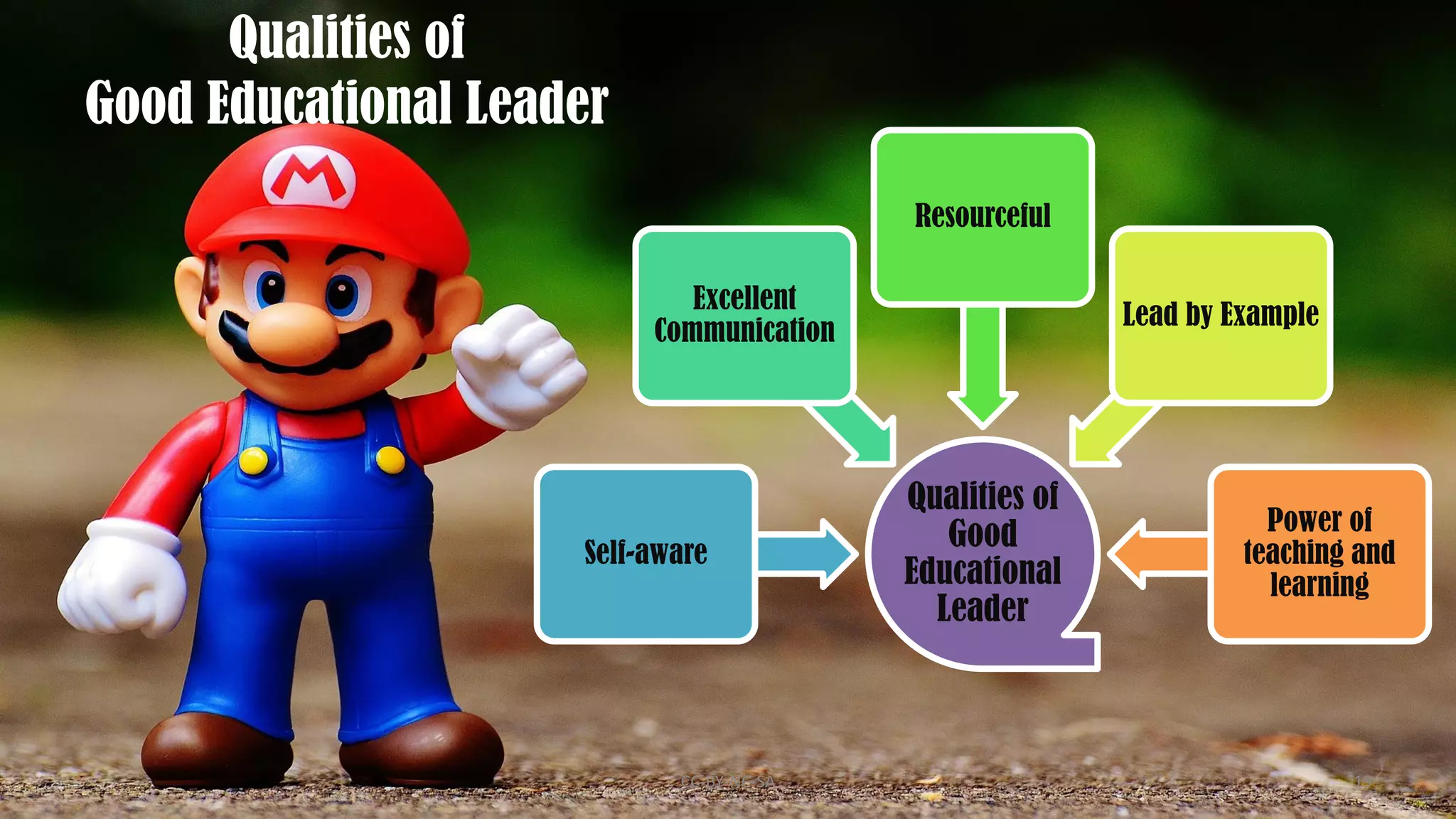 leadership-meaning-defintion-types-ppt-free-download