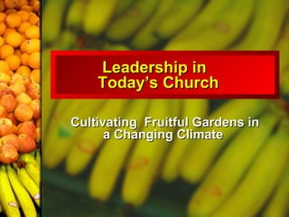 Leadership in  Today’s Church  Cultivating  Fruitful Gardens in a Changing Climate   
