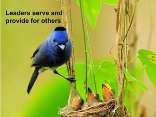 Leaders serve and
provide for others