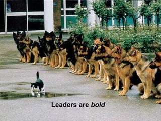 Leaders are bold