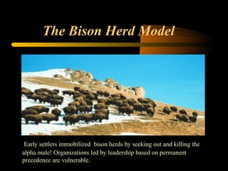 The Bison Herd Model
Early settlers immobilized bison herds by seeking out and killing the
alpha male! Organizations led by leadership based on permanent
precedence are vulnerable.
 