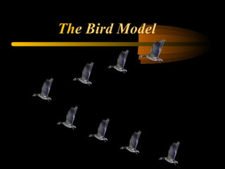 The Bird Model
 