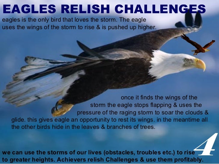 Leadership lesson from eagles