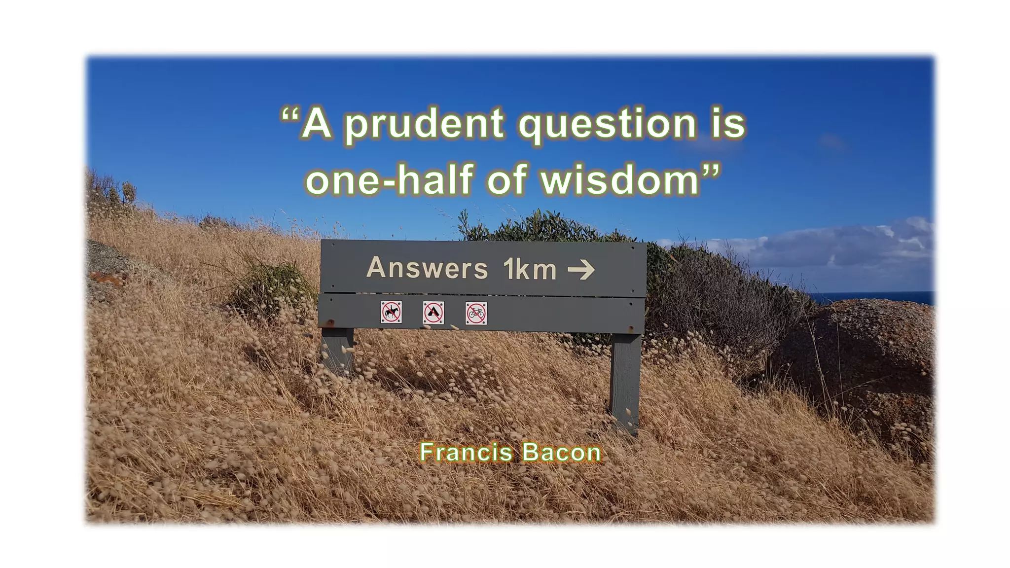 Developing A Strategic Institutional Response:  What Type of Strategy, Leadership and Internal Structures are Required to Develop and Execute a Micro-credential Strategy?