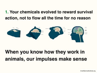 1. Your chemicals evolved to reward survival
action, not to ﬂow all the time for no reason
When you know how they work in
animals, our impulses make sense
 