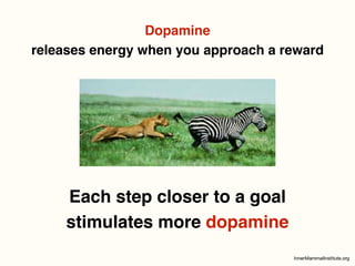 Leadership and the Brain