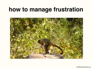 how to manage frustration
 