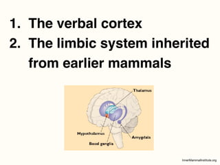 1. The verbal cortex
2. The limbic system inherited
from earlier mammals
 