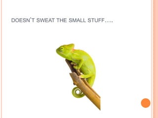  doesn’t sweat the small stuff….