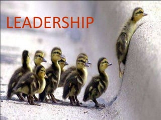 LEADERSHIP
 
