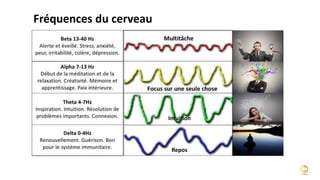 Fréquences du cerveau
Intuition
Repos
 