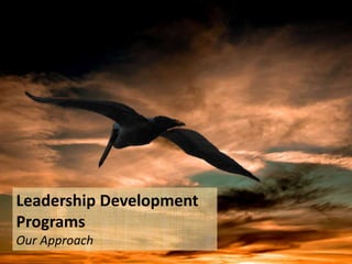 Leadership Development
Programs
Our Approach
 