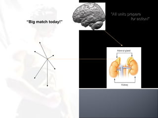 “All units prepare
                                  for action!”
“Big match today!”
 