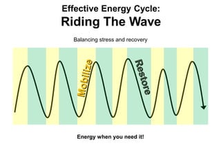 Balancing stress and recovery




      l ize



                       Res
                       Res
M o bi




 Energy when you need it!  t o re
                           t o re
 