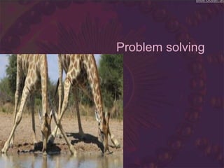 Problem solving
Blue Ocean Leadership was created by W. Chan Kim and Renée Mauborgne, and is based on their theory of Blue Ocean Str
 