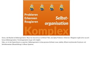 Also kontrolliere 
ich einfach 
ob die Minions 
richtig vorgehen. 
Prozesse 
Kann da die Grundannahme vom Gru noch klappen? Nein, natürlich nicht. Den der Prozess ist nicht vorhersehbar. Der ergibt sich auf dem Weg aus den 
gemachten Erfahrungen. Und der Gru darf noch nicht mal etwas vorgeben, denn zum lernen im komplexen ist Selbstorganisation erforderlich. 
 