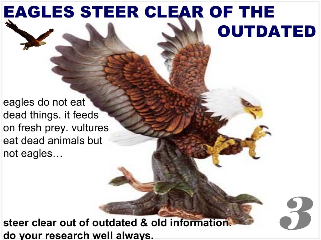 Leadership Lesson From Eagles