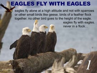 EAGLES FLY WITH EAGLES
eagles fly alone at a high altitude and not with sparrows
or other small birds like geese. birds of a feather flock
together. no other bird goes to the height of the eagle.
eagles fly with eagles.
never in a flock…
1
 