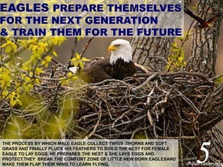5
THE PROCESS BY WHICH MALE EAGLE COLLECT TWIGS ,THORNS AND SOFT
GRASS AND FINALLY PLUCK HIS FEATHERS TO BUILD THE NEST FOR FEMALE
EAGLE TO LAY EGGS. HE PREPARES THE NEST & SHE LAYS EGGS AND
PROTECT.THEY BREAK THE COMFORT ZONE OF LITTLE NEW BORN EAGLESAND
MAKE THEM FLAP THEIR WING TO LEARN FLYING.
EAGLES PREPARE THEMSELVES
FOR THE NEXT GENERATION
& TRAIN THEM FOR THE FUTURE
 