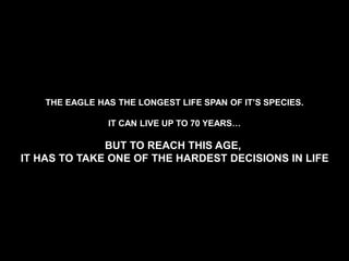 THE EAGLE HAS THE LONGEST LIFE SPAN OF IT’S SPECIES.
IT CAN LIVE UP TO 70 YEARS…
BUT TO REACH THIS AGE,
IT HAS TO TAKE ONE OF THE HARDEST DECISIONS IN LIFE
 