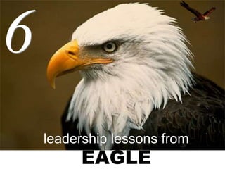 leadership lessons from
EAGLE
6
 