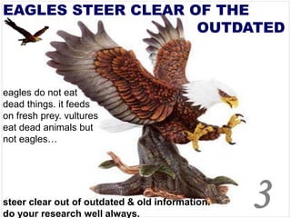 leadership lesson from eagles.ppt