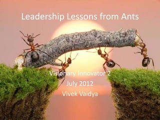 Leadership Lessons from Ants




      Visionary Innovator 2
            July 2012
           Vivek Vaidya
 