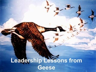 Leadership Lessons from Geese 